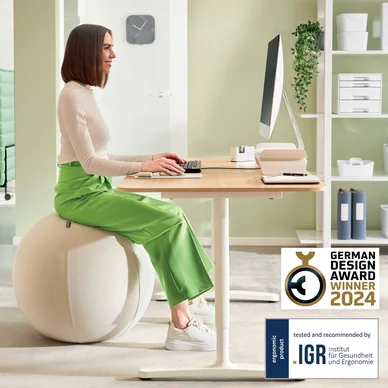 Leitz Ergo Active Sittboll med stoppfunktion 65cm ljusgrå
